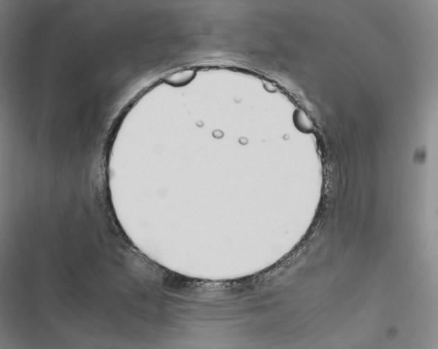 X0000116461167201001201254
