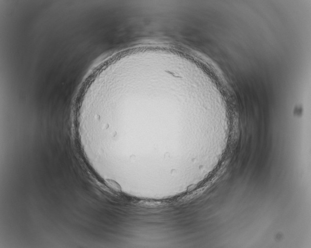 X0000116461168201001201254