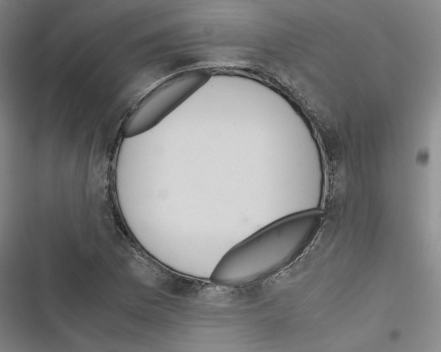 X0000116461169201001201254