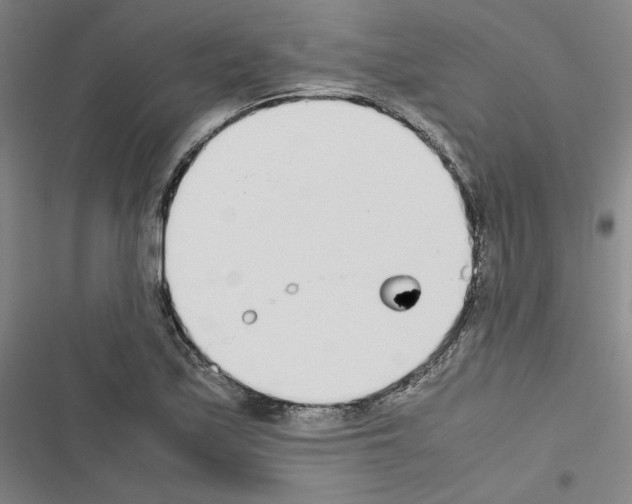 X0000116461171201001201254