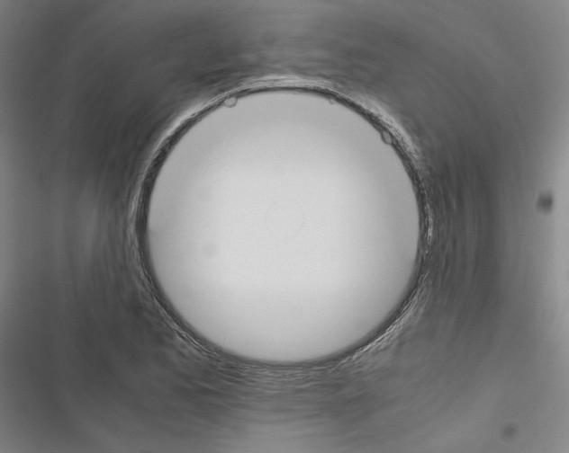 X0000116461173201001201254