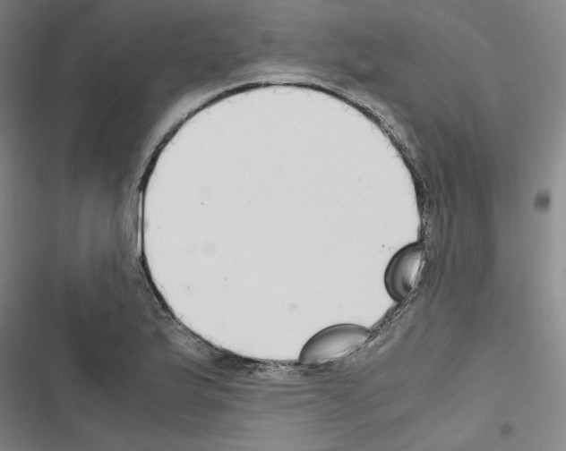 X0000116461175201001201254