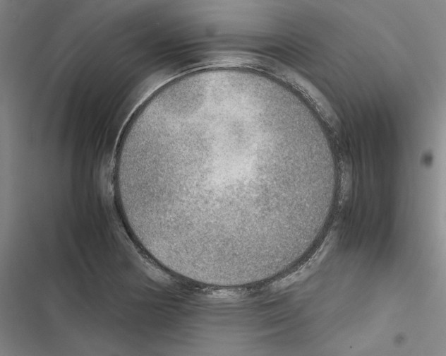 X0000116461178201001201254