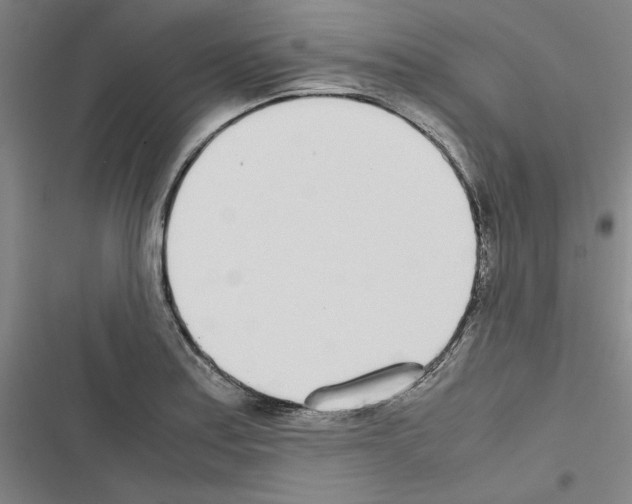 X0000116461179201001201254