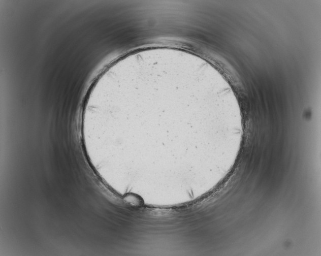 X0000116461180201001201254