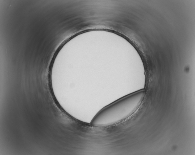 X0000116461181201001201254