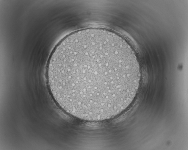 X0000116461182201001201254