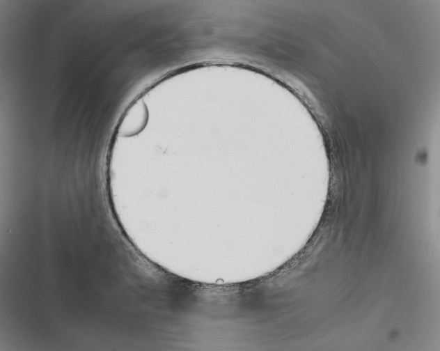 X0000116461183201001201254