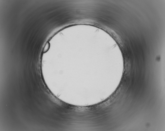 X0000116461184201001201254