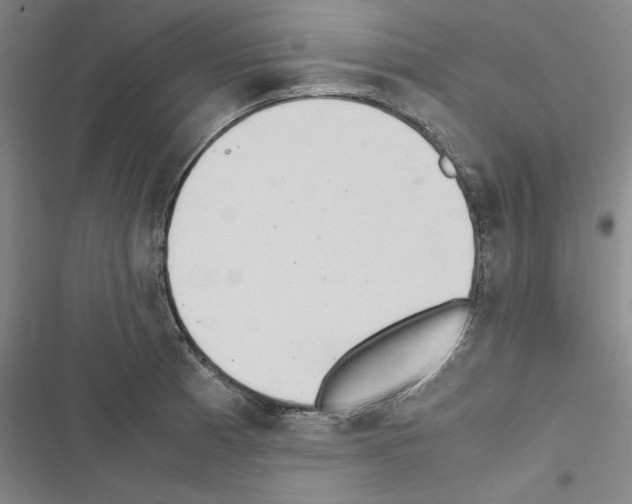 X0000116461185201001201254