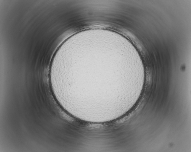 X0000116461186201001201254