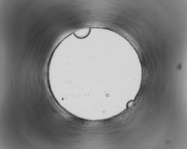 X0000116461187201001201254