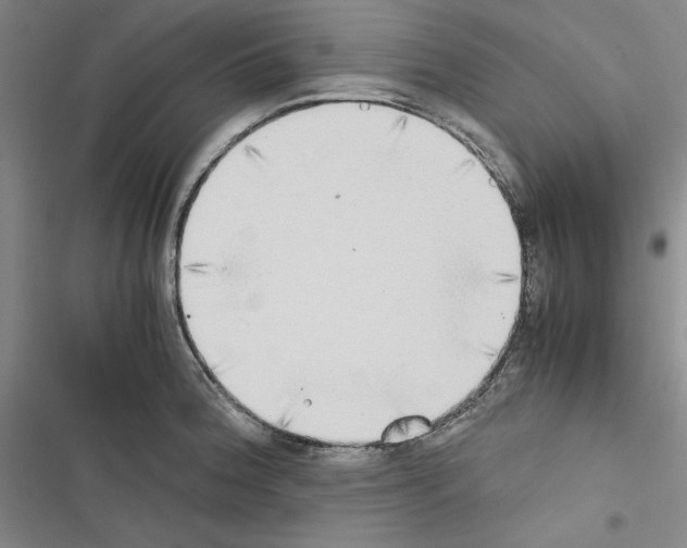 X0000116461188201001201254
