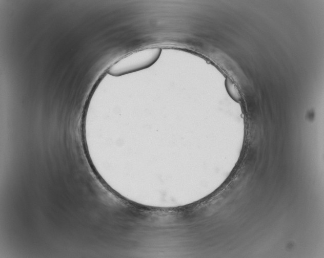 X0000116461189201001201254
