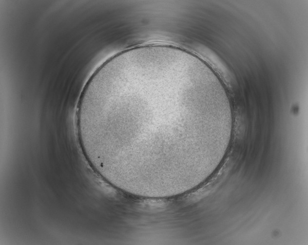 X0000116461190201001201254