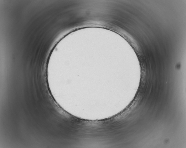X0000116461192201001201254