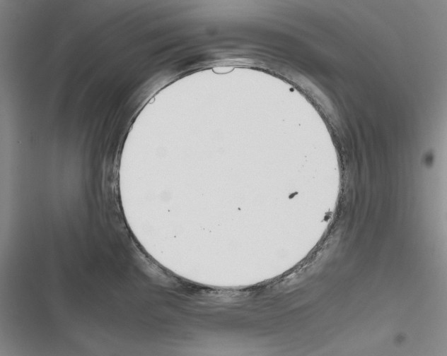 X0000116461193201001201254