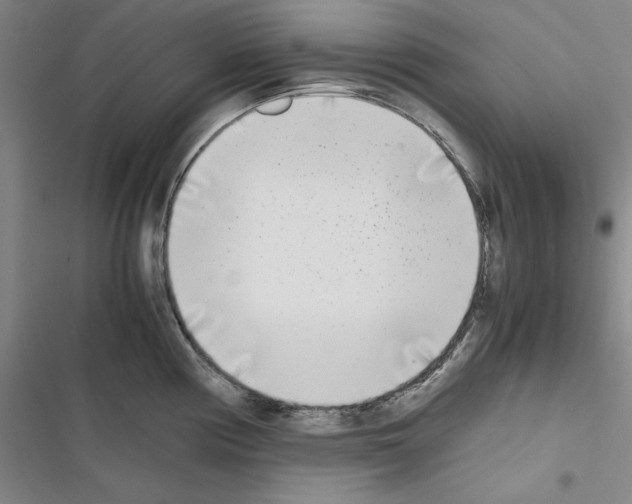 X0000116461194201001201254