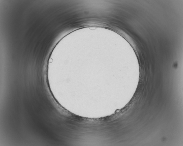 X0000116461195201001201254