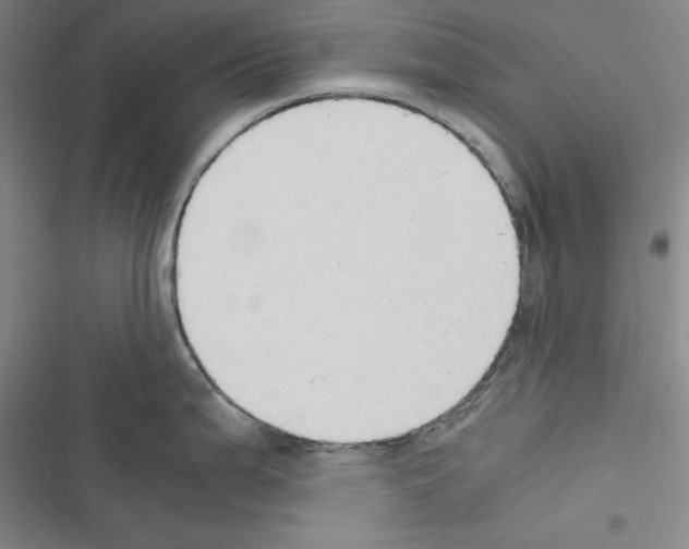X0000116461199201001201253