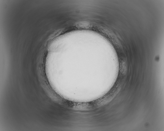 X0000116461201201001201253