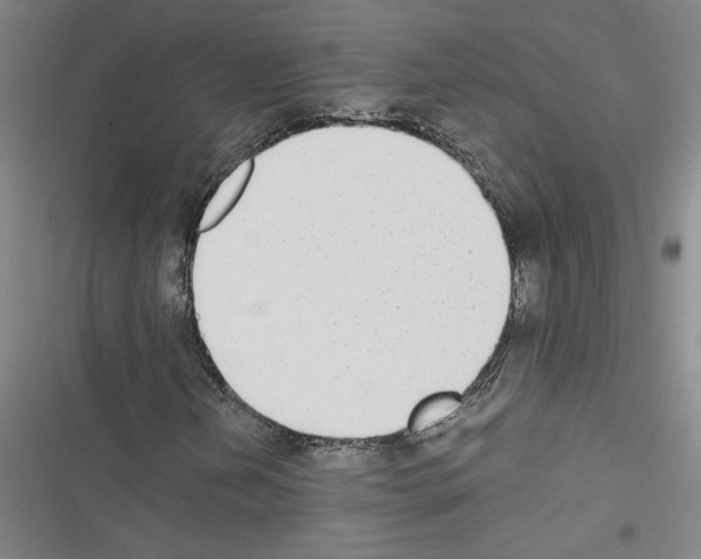 X0000116461202201001201253