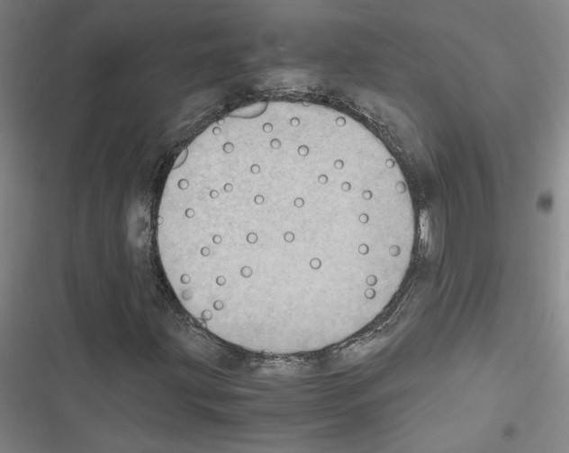 X0000116461203201001201253