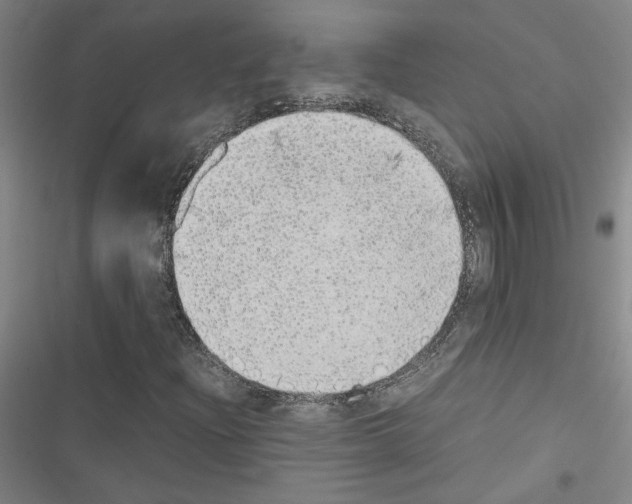 X0000116461204201001201253