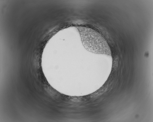 X0000116461205201001201253