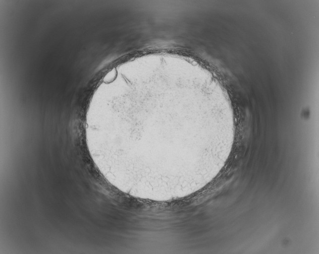 X0000116461206201001201253