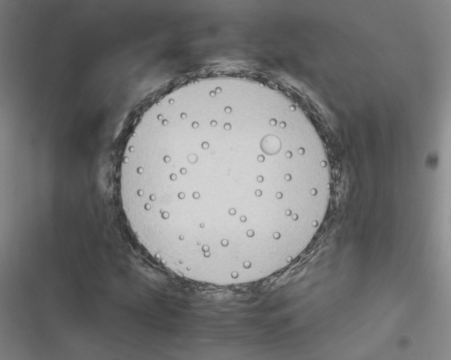 X0000116461207201001201253