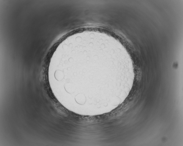 X0000116461208201001201253
