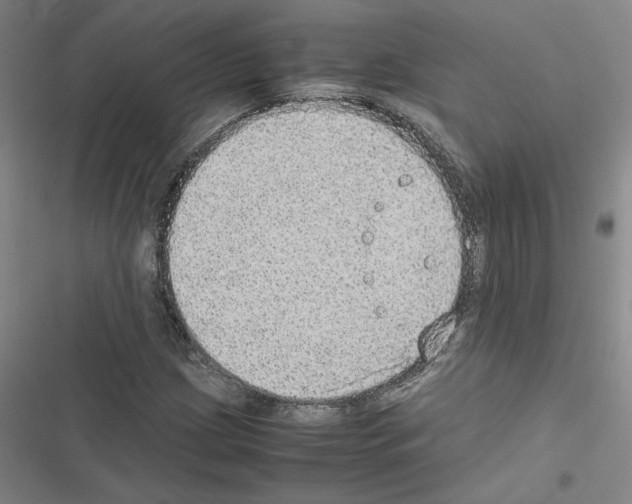 X0000116461209201001201253