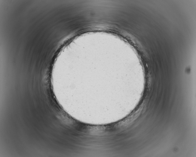 X0000116461210201001201253