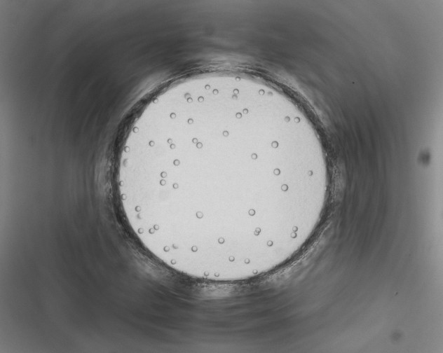 X0000116461211201001201253