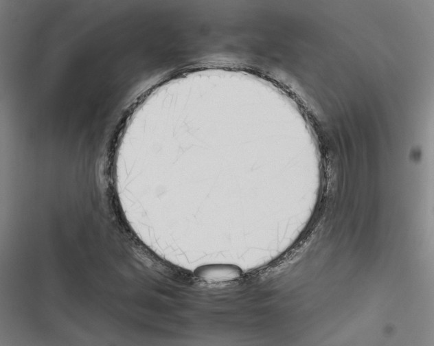 X0000116461213201001201253