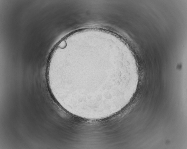 X0000116461216201001201253