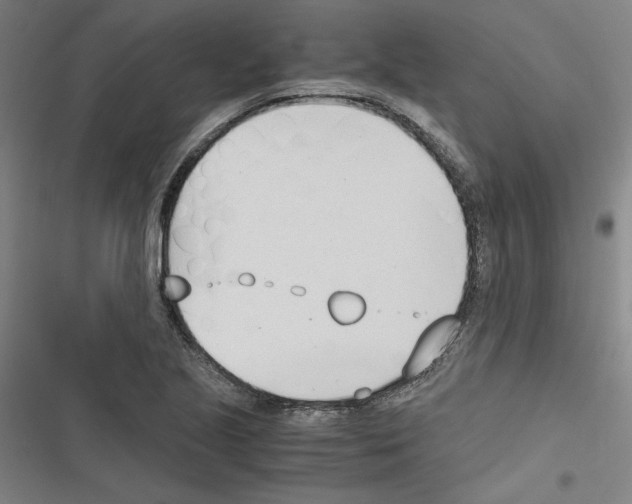 X0000116461221201001201253