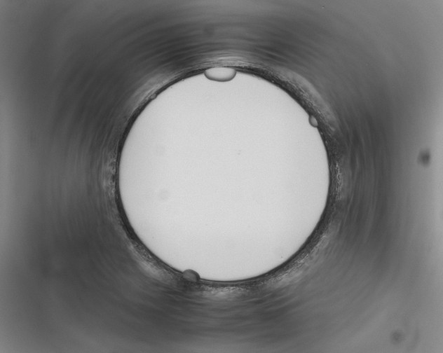 X0000116461225201001201253