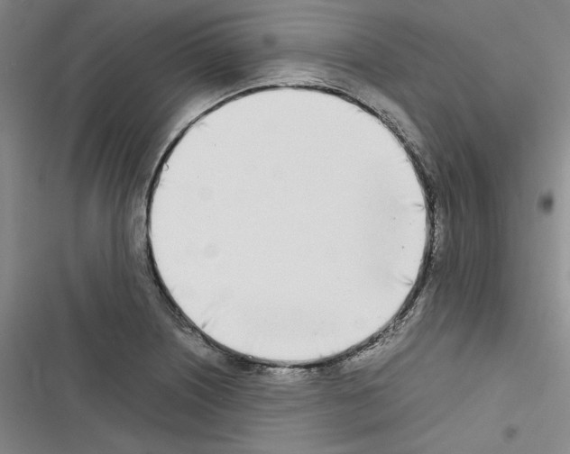 X0000116461226201001201253