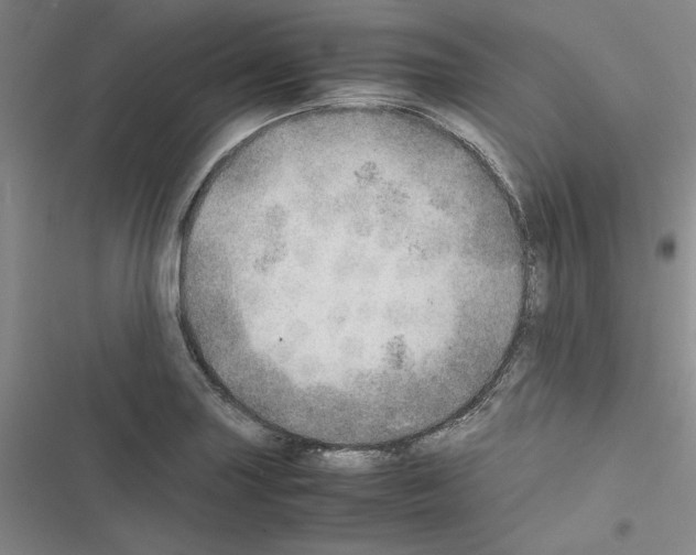X0000116461227201001201253