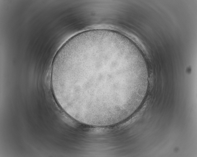X0000116461228201001201253