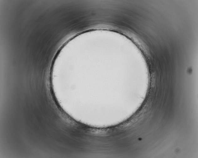 X0000116461229201001201253