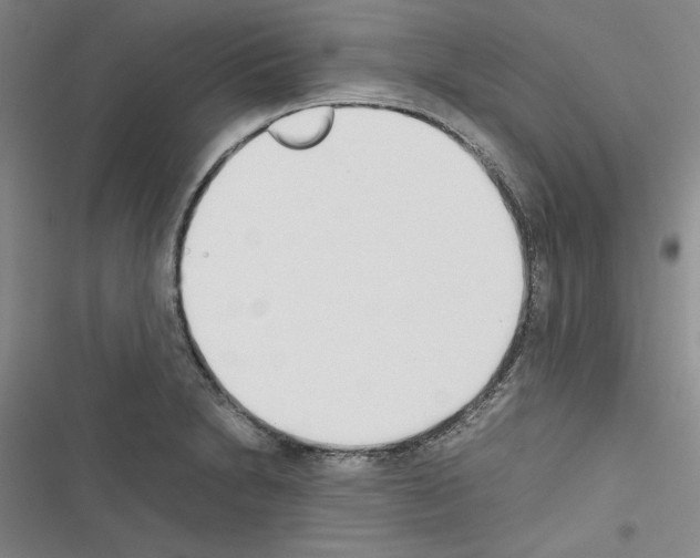 X0000116461230201001201253