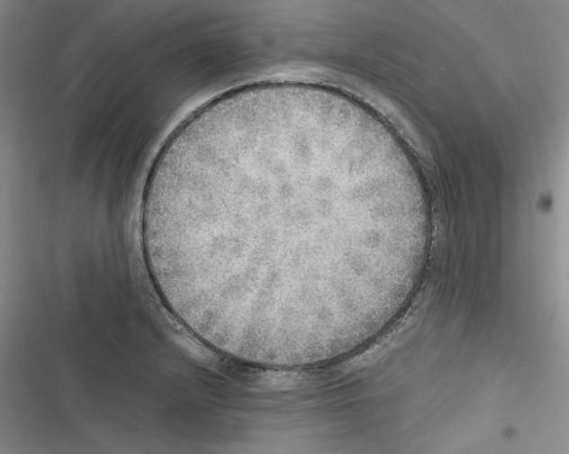 X0000116461232201001201253