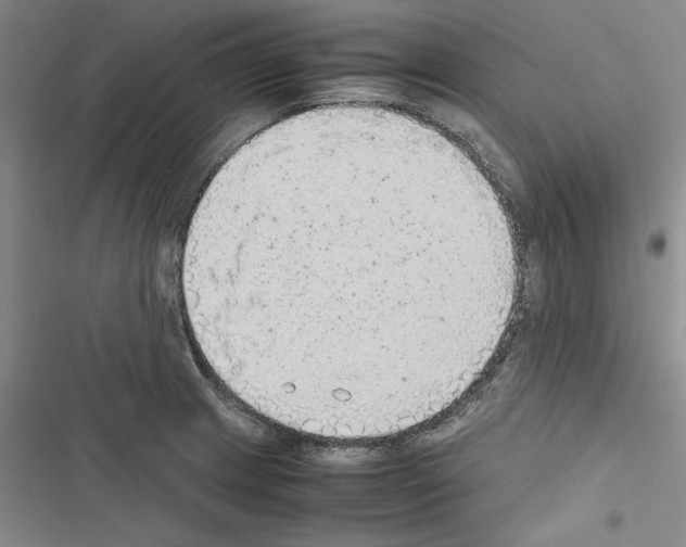 X0000116461233201001201253
