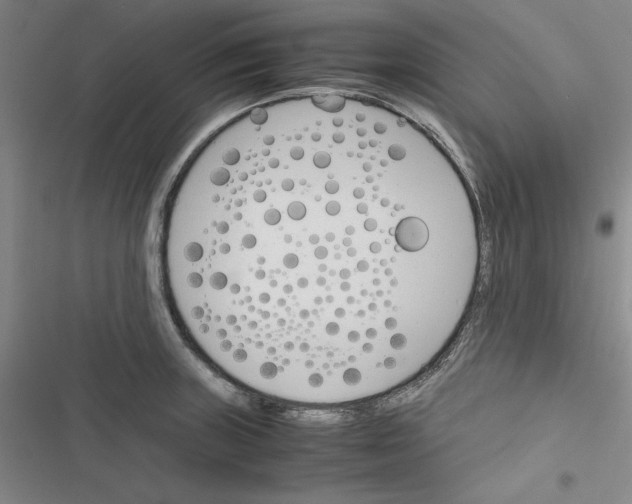 X0000116461235201001201253