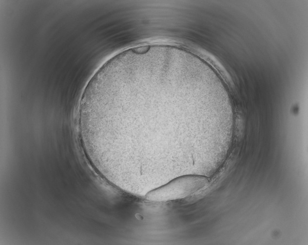 X0000116461236201001201253