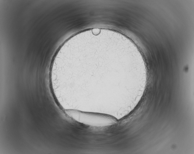 X0000116461237201001201253