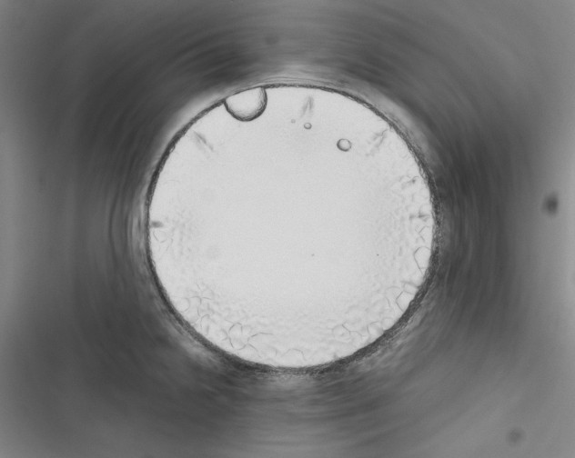 X0000116461238201001201253